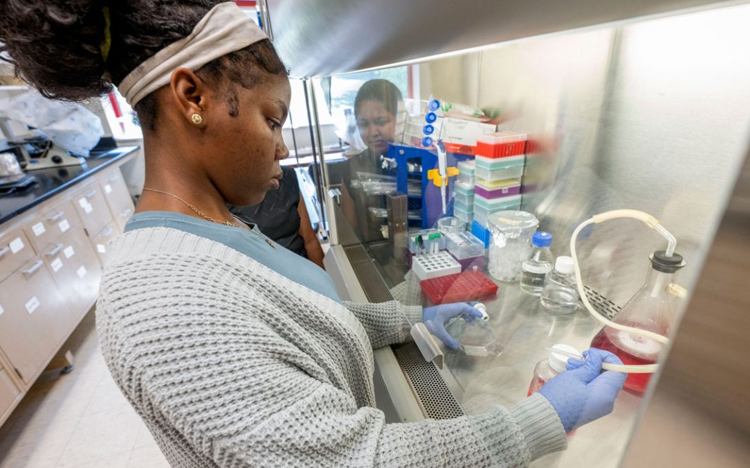 CLIMB concludes 11th summer helping area high school students gain hands-on scientific lab experience