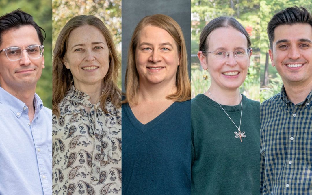Faculty in computer science, biology and physics receive prestigious NSF research funding