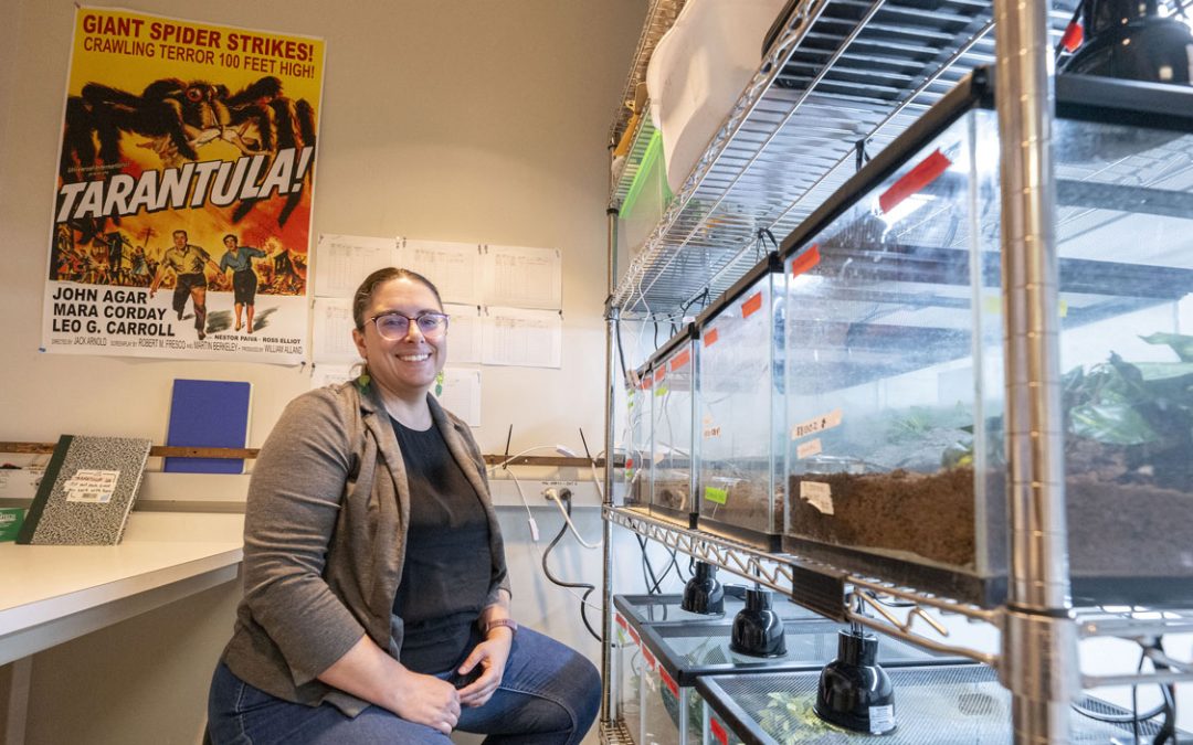 Doctoral candidate Becky Hansis-O’Neill’s doctoral research helps builds understanding of tarantulas