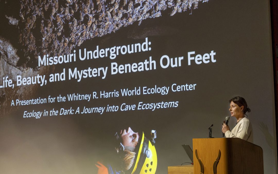 Whitney and Anna Harris Conservation Forum takes attendees on tour of seldom-seen cave ecosystems
