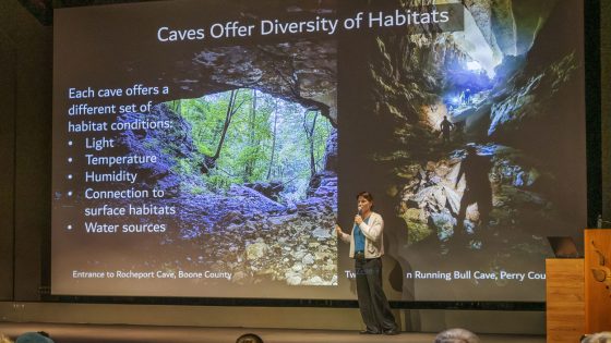 Vona Kuczynska discusses the traits of cave habitats during the Whitney and Anna Harris Conservation Forum