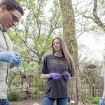 Biology Assistant Professor Blaine Marchant and graduate research assistants Jessi Kreder and Sujith Sudagani collect tissue samples from an Osage Orange tree last April at the Missouri Botanical Garden