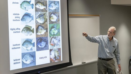 Ecologist Kirk Winemiller discusses different species of fish occupying similar niches in their habitats