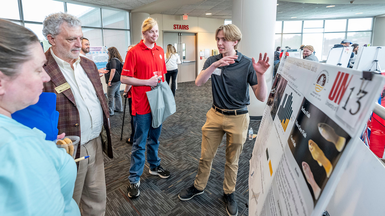 University of Missouri–St. Louis student Karch Knipp, talks about his research titled " Phenotypic Variation Between Surface and Cave-Adapteed Poeciliids and its Effect on Metabolism."