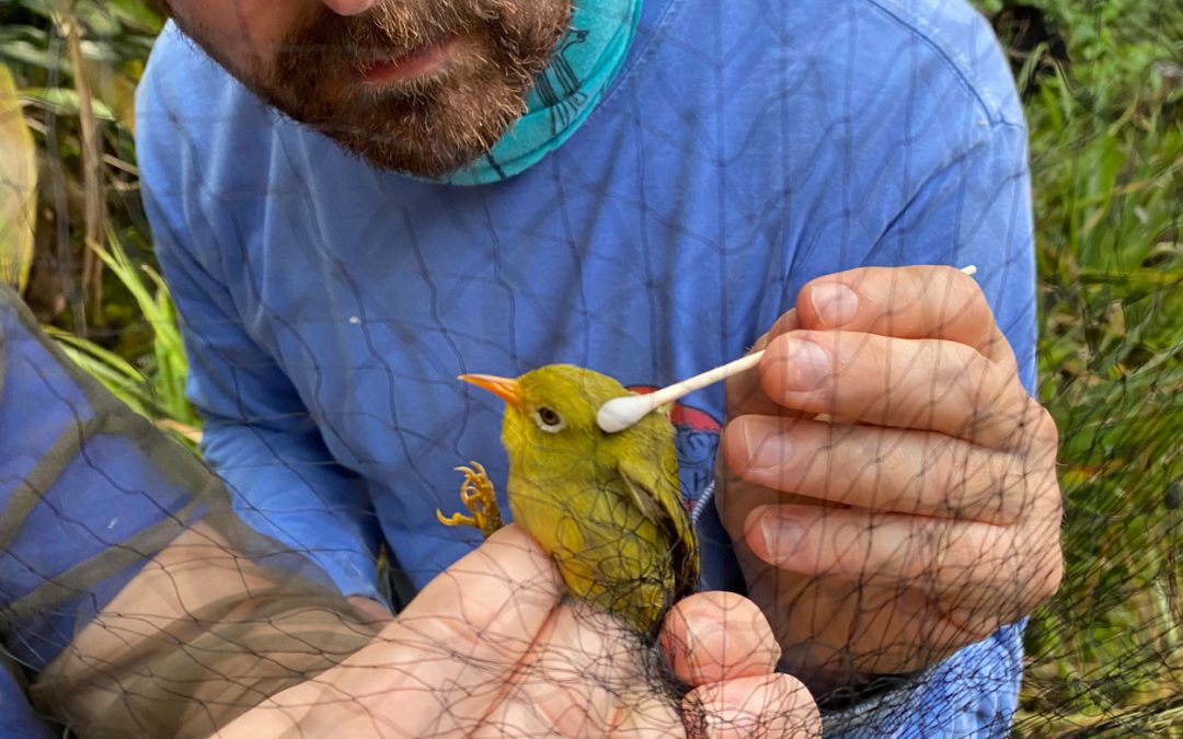 3 questions with John Bender, doctoral student in biology