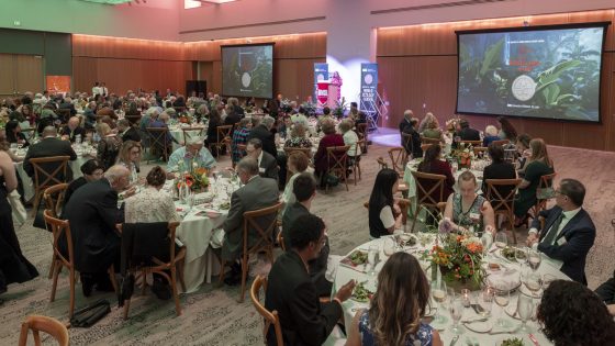 The audience at the Robert R. Hermann World Ecology Award Gala