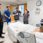 IPE simulation