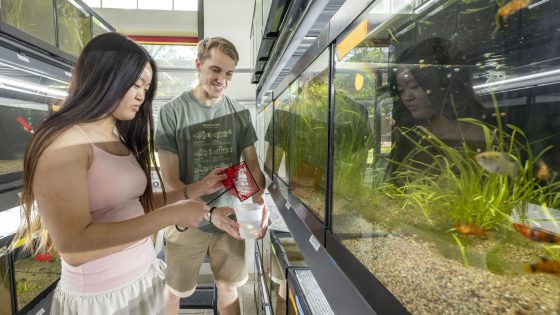 Hazelwood East graduate Annabelle Epley and UMSL biology doctoral candidate Soren Johnson work with fish in the lab of Professor Michi Tobler