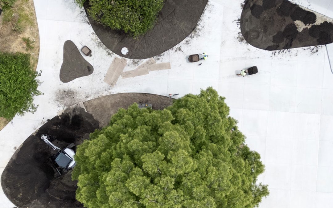 Eye on UMSL: Shaping the grounds