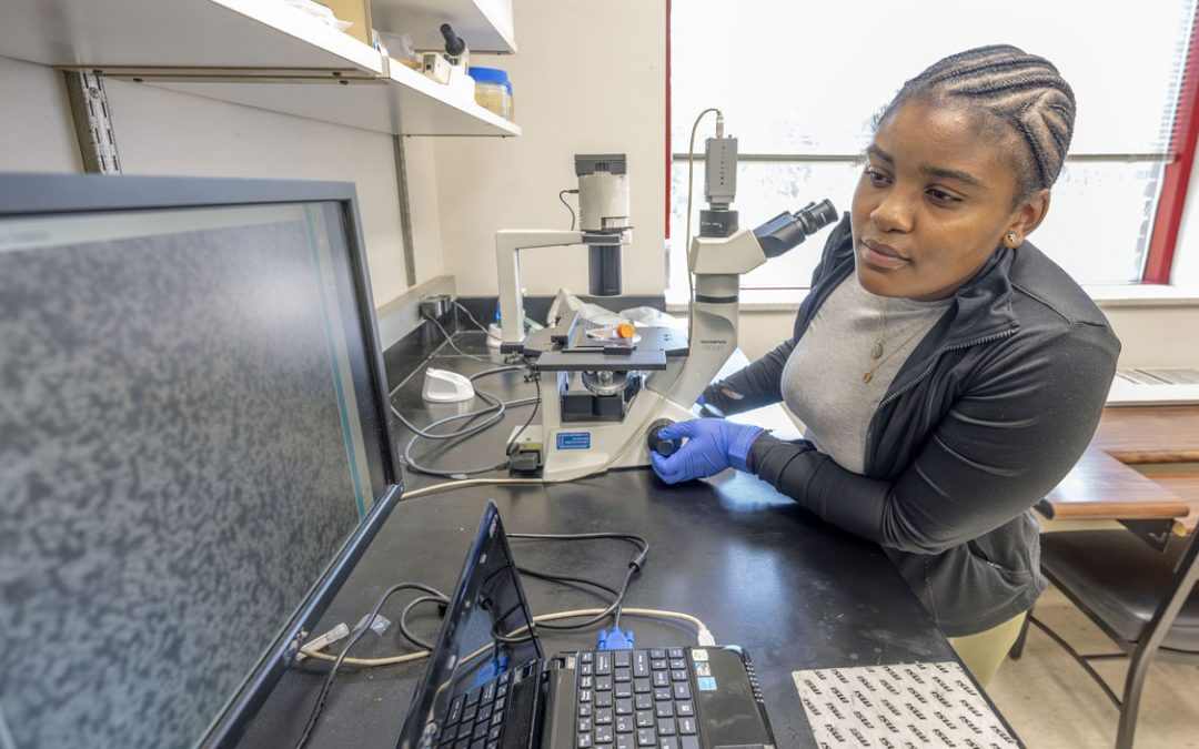 CLIMB program gives area high school students exposure to hands-on research work in UMSL labs