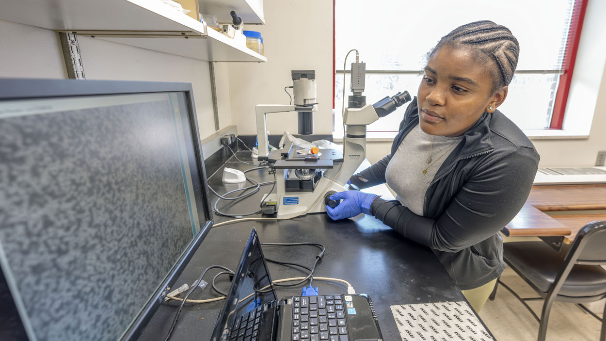 University City High School student Journee Glasby working in the lab of Professor Michael Nichols